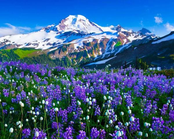 國內禁止外國人進入的7個景點,個個都美如畫,看完立刻想出發 國內禁止外國人進入的7個景點,個個都美如畫,看完立刻想出發