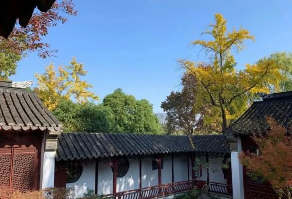 【探索】在長三角一體化示範區，尋找秋天的色彩