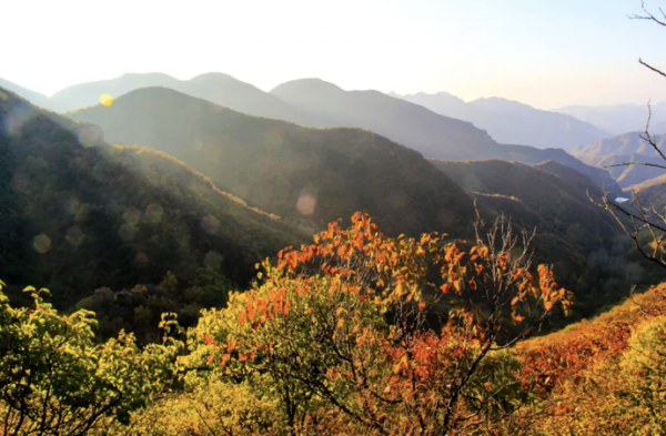 秋日靜美，斑斕如斯，北京號帶您“雲”賞深秋