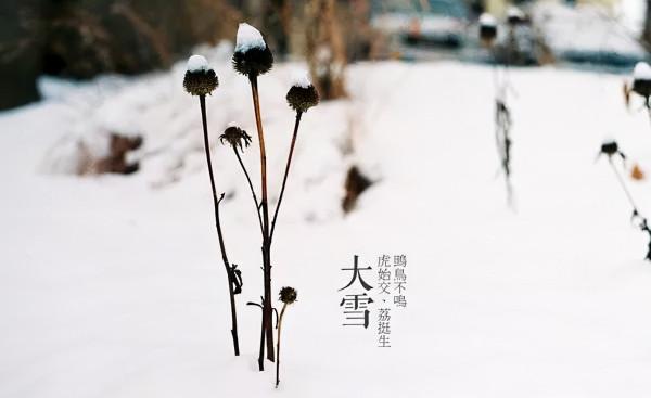 明日大雪，仲冬伊始，早臥晚起，養藏補腎