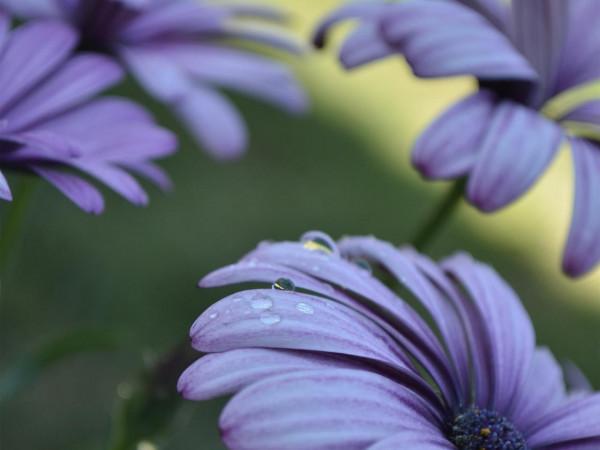 不留遺憾的人生，唯有努力