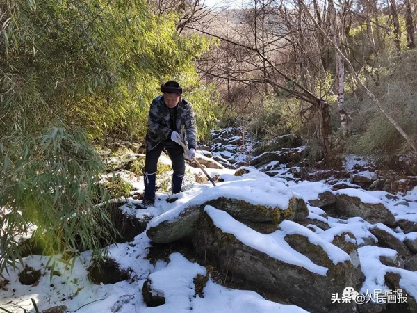 新春走基層 &vert; 他們，守護著&OpenCurlyDoubleQuote;野生&rdquo;冰墩墩