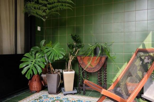 這9種多肉植物,看著不起眼,開花很驚豔,快養起來,放哪都好看 這9種多肉植物,看著不起眼,開花很驚豔,快養起來,放哪都好看