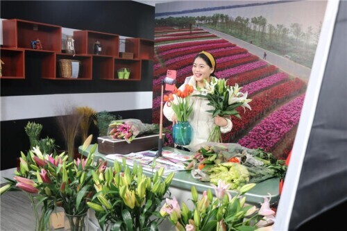 東海：“鮮花小鎮”冬閒時節花農忙