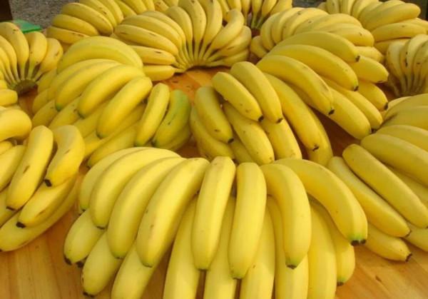 常見的十六種水果品種，你知道了幾種