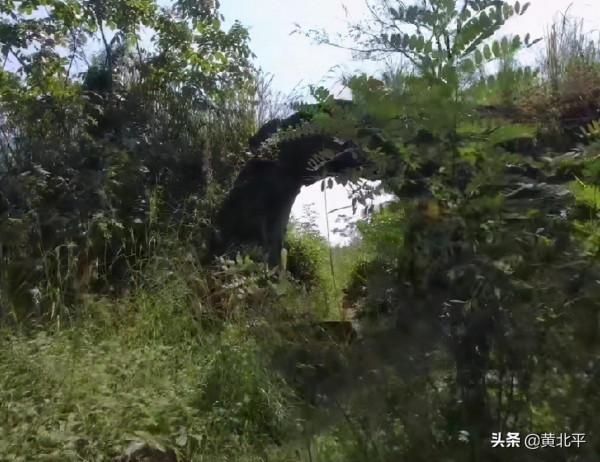 四川廣安武勝縣勝利鎮有座天然形成的大橋，形成於1億7千萬年之前