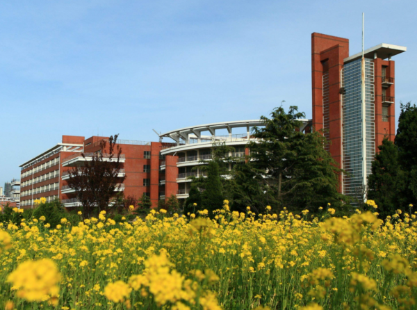 “上過大學”和“沒上過大學”區別，4方面對比，網友：太真實了