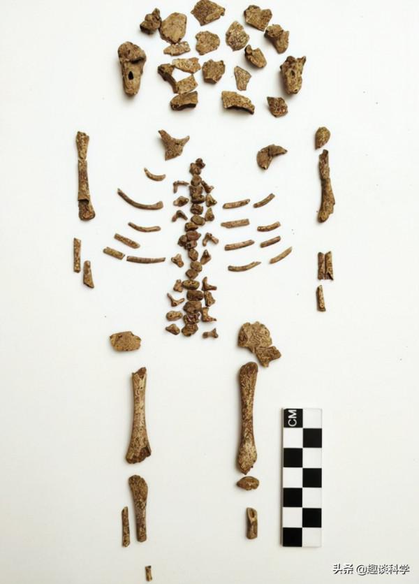 女子死後10天,為何會在墳墓裡產子?科學家揭開千年母子骸骨謎雲 女子死後10天,為何會在墳墓裡產子?科學家揭開千年母子骸骨謎雲