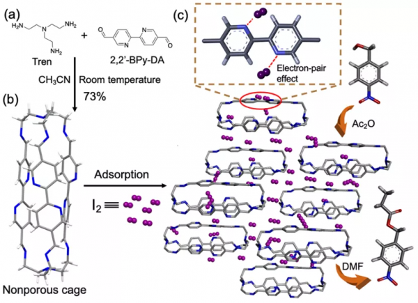 華中科大池小東課題組在非多孔自適應有機籠研究獲進展