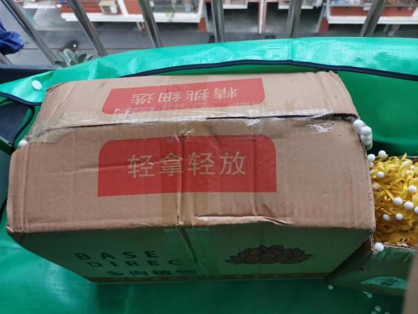 今天到了箱多肉開箱