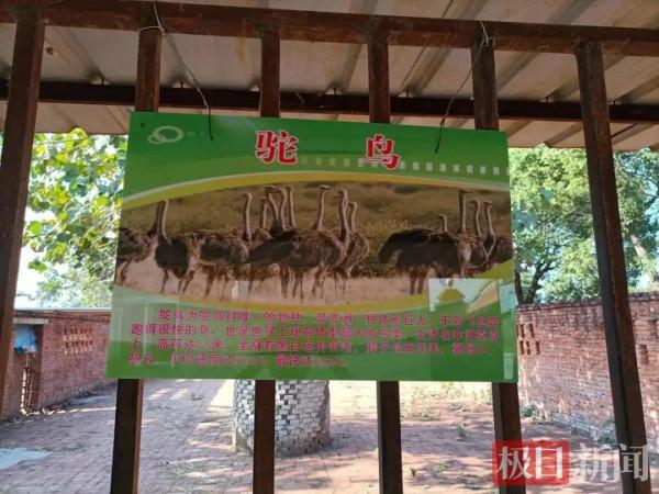 看了個寂寞,這家動物園動物竟是畫在牆上的? 看了個寂寞,這家動物園動物竟是畫在牆上的?