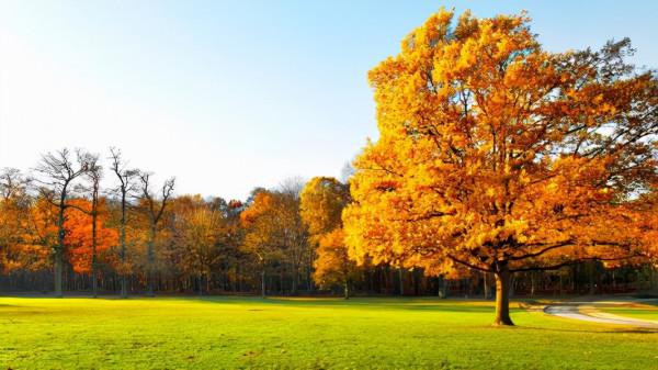 人生智慧:處世讓一步,便能以退為進;待人寬一分,就能自求多福 人生智慧:處世讓一步,便能以退為進;待人寬一分,就能自求多福