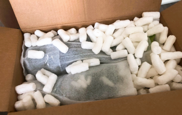 網購有風險，下單需謹慎！想買到便宜的好花苗多注意這些，準沒錯