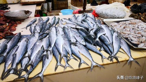 冬季吃啥海鮮最肥美?老漁民半輩子總結,還有地道做法,趕緊收藏 冬季吃啥海鮮最肥美?老漁民半輩子總結,還有地道做法,趕緊收藏