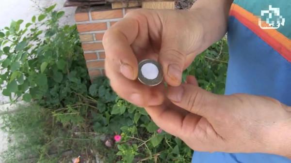 女人意外獲得一棵搖錢樹,每天都會獲得50元硬幣,但女人並不開心 女人意外獲得一棵搖錢樹,每天都會獲得50元硬幣,但女人並不開心