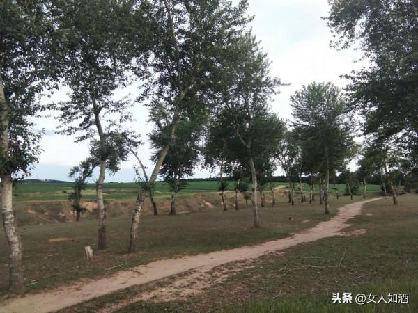 專屬於中年人的記憶—收音機