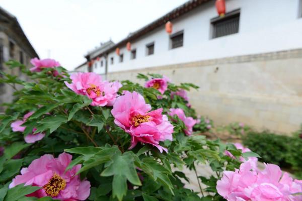 美景山東‖牟氏莊園:中國現存最大的封建地主莊園 美景山東‖牟氏莊園:中國現存最大的封建地主莊園
