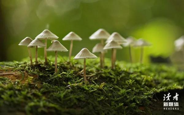 當你老了，去兄弟姐妹家走一圈，就會明白&hellip;&hellip;