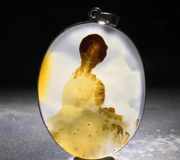 海洋精靈（下）