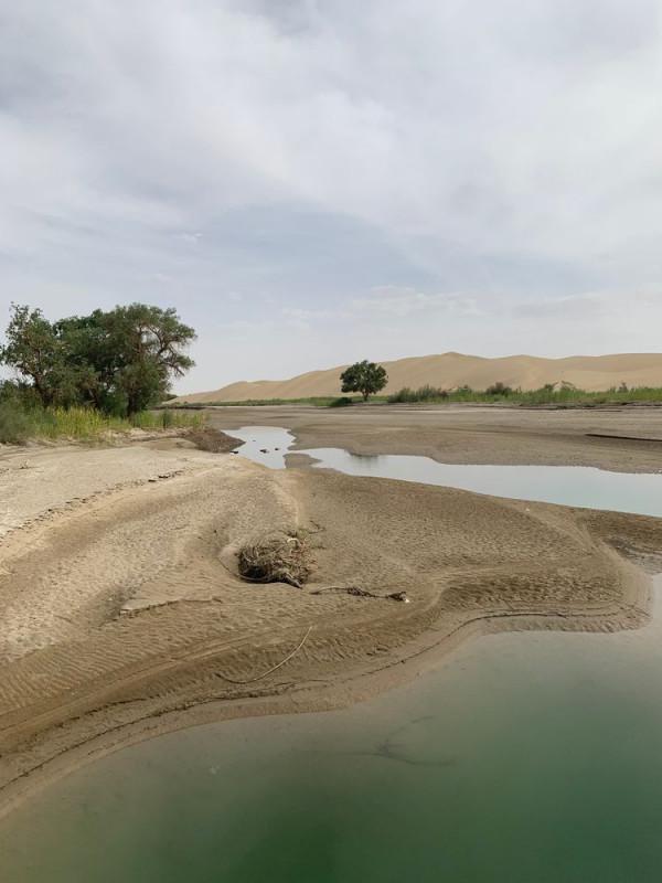 大美新疆（十）羅布人村
