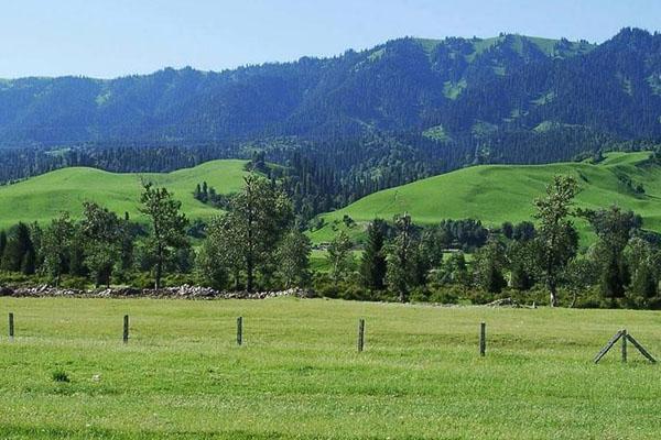 新疆一個“超大”景區，面積堪比一個城市，裡面卻不允許開車