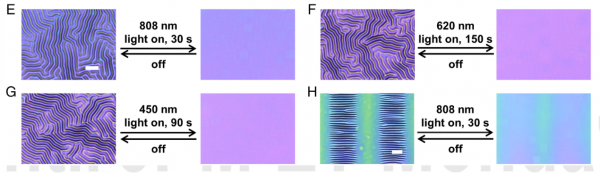 上海交大團隊開發視覺偽裝系統:可應用於生態監測等方面 上海交大團隊開發視覺偽裝系統:可應用於生態監測等方面