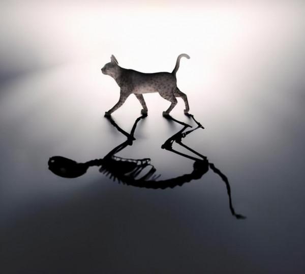 190億研發，三缸奇駿以量子物理為思路，薛定諤之貓法抑制抖動