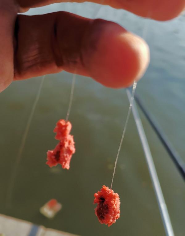 靈活多變才是漁獲的關鍵，大師的制勝法寶得好好學