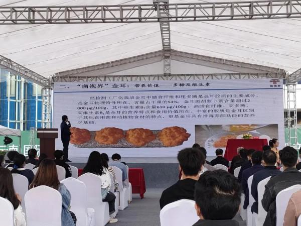 雞樅人工種植成功？野生食用菌產業大會，重新整理你對食用菌的認知