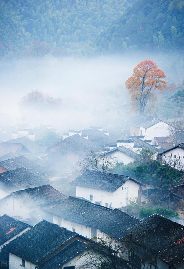一省一秋!各省秋色“當紅”代言人,你的家鄉上榜了嗎? 一省一秋!各省秋色“當紅”代言人,你的家鄉上榜了嗎?