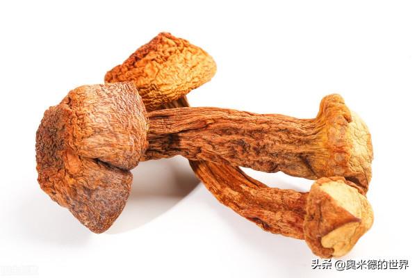 中國最早開通國際動車的“雲南省”的20個冷知識,你知道幾個? 中國最早開通國際動車的“雲南省”的20個冷知識,你知道幾個?