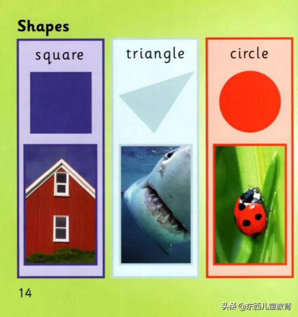 等了一年的分級閱讀王者:《大貓》來了 等了一年的分級閱讀王者:《大貓》來了