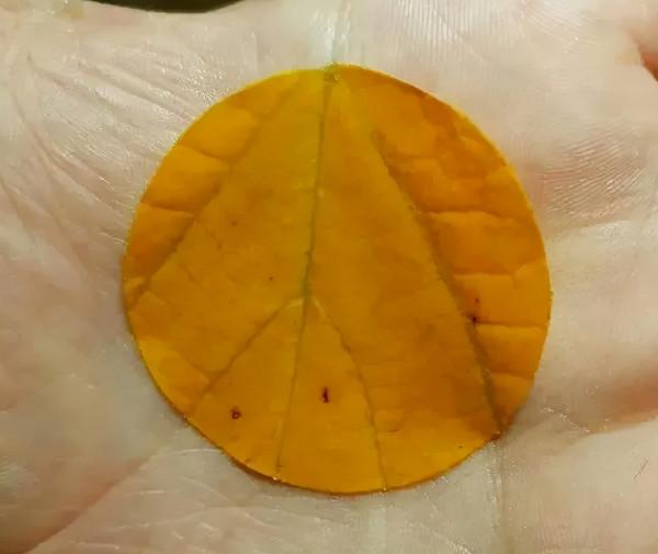 66張治癒強迫症的完美圖片，看完整個人都舒服了