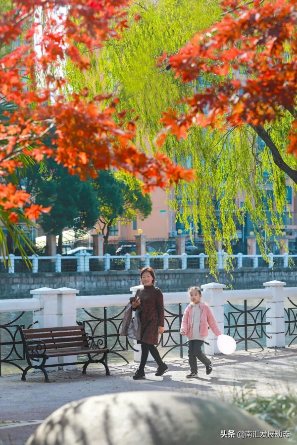 惠南：多個高顏值的口袋公園前來報到