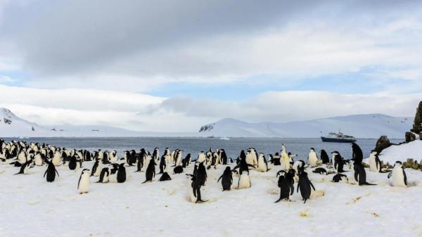南極大陸的探索