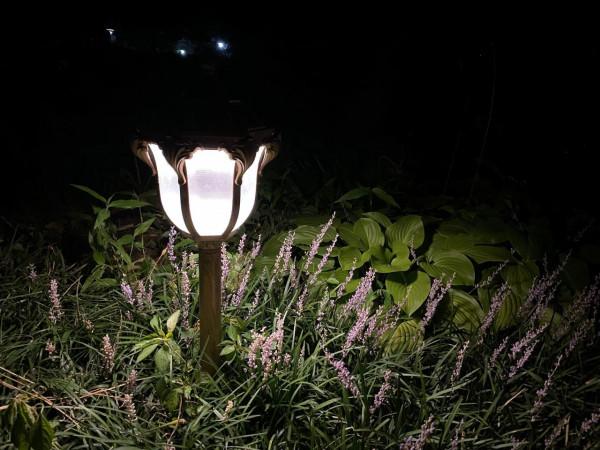 意不意外? 華為P50 Pro首測2: 網友要求再拍10組對比, 逼出它影像極限