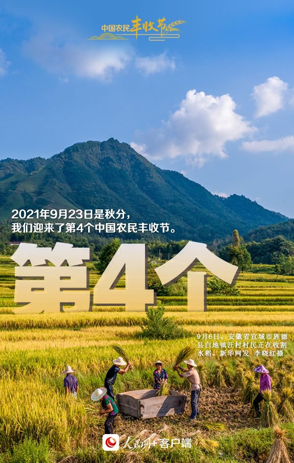 “豐”景如畫慶佳節