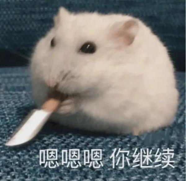 兵線被吃直接擺爛？某UP主怒錘職業選手掛機引網友熱議