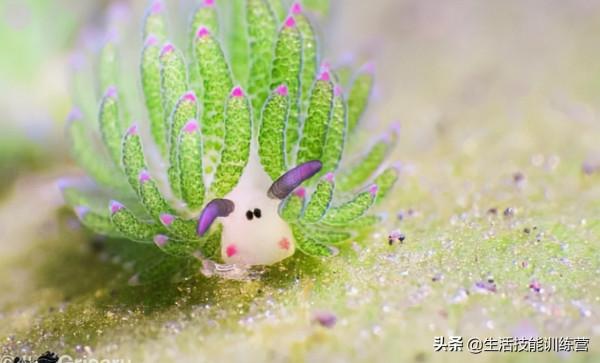 35張圖片帶我們領略大自然的狂野和美麗 35張圖片帶我們領略大自然的狂野和美麗