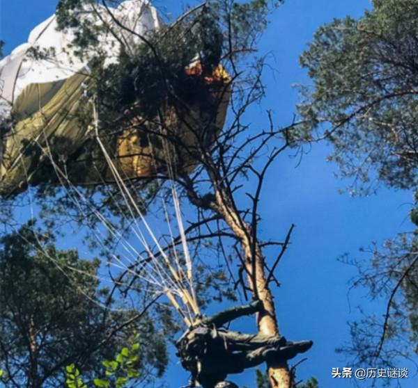 二戰傘兵被掛樹上,掛了70年才被找到,已成白骨身上都是雜草 二戰傘兵被掛樹上,掛了70年才被找到,已成白骨身上都是雜草