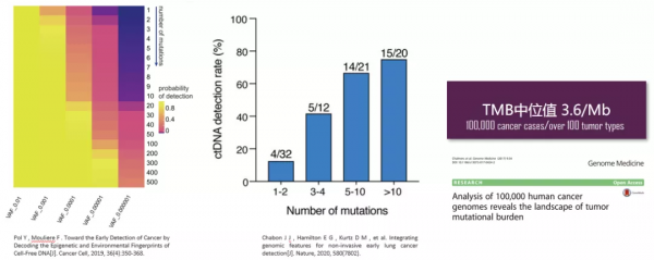伯科高品質DNA合成技術實現多平臺靶向測序應用的領先水平 伯科高品質DNA合成技術實現多平臺靶向測序應用的領先水平