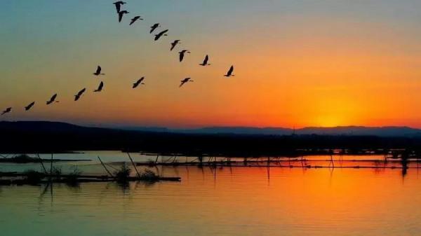 大雁南飛冬天來臨