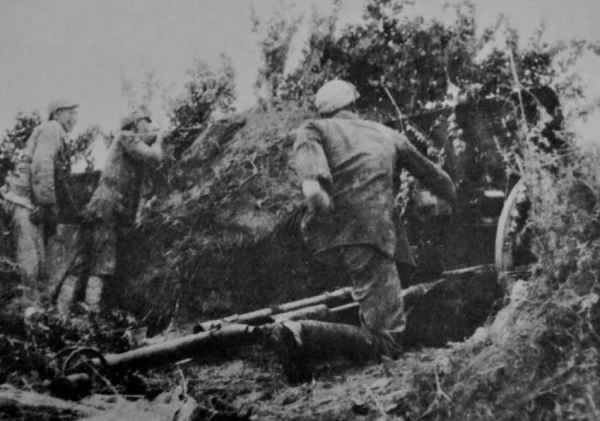劉鄧大軍挺進大別山，部隊損失7萬人，卻換來中原決戰的巨大勝利