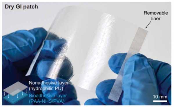 華人團隊發明手術級強力膠帶：快速外科止血，拯救成千上萬生命