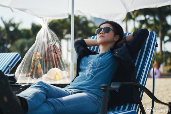 諜戰劇《對手》定檔央視,郭京飛譚卓主演,寧理沒出意外又演反派 諜戰劇《對手》定檔央視,郭京飛譚卓主演,寧理沒出意外又演反派