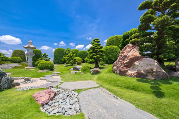 獨特的盆景之美 獨特的盆景之美