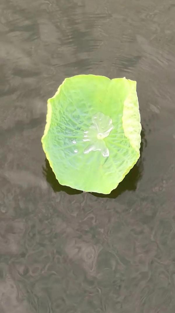 3年前的華為nova3，6+128G現在不足千元，難道不香嗎？