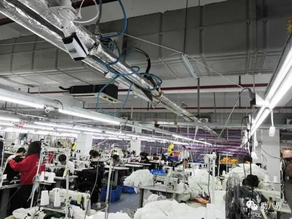 新物種┃犀牛智造:阿里巴巴意欲何為​? 新物種┃犀牛智造:阿里巴巴意欲何為​?