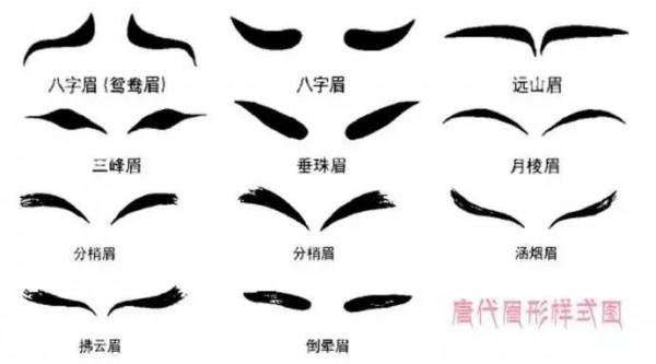 百萬年前的社交必需品——眉毛進化史