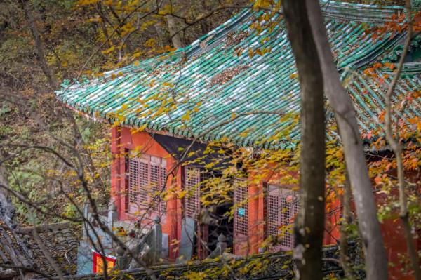 掛在懸崖上的故宮,入選世界文化遺產,湖北旅遊必打卡 掛在懸崖上的故宮,入選世界文化遺產,湖北旅遊必打卡